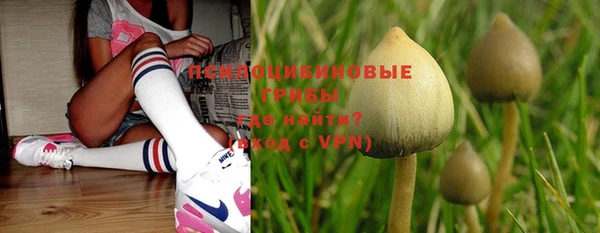 круглые Гвардейск