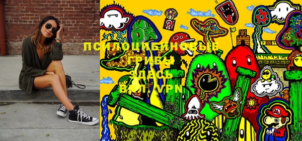 шишки Новокубанск
