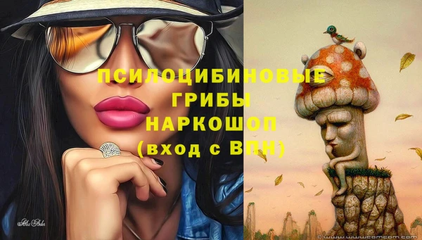 мяу мяу мука Гатчина