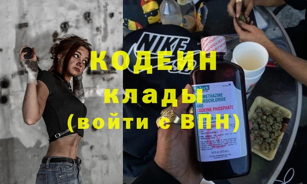 шишки Новокубанск