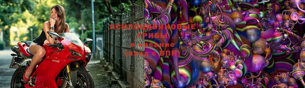 Альфа ПВП Новодвинск