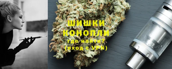 шишки Новокубанск