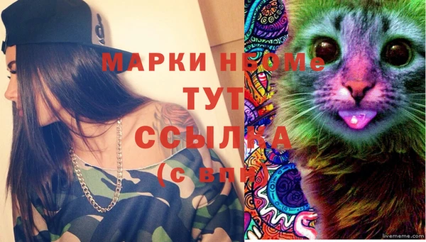 мяу мяу мука Гатчина