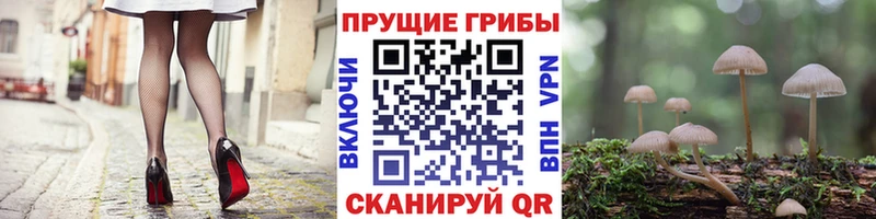 Псилоцибиновые грибы прущие грибы даркнет сайт Задонск